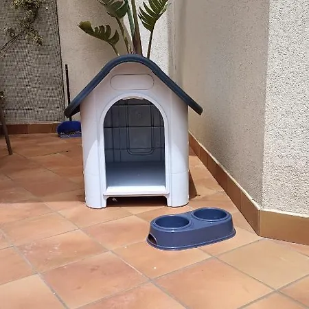 Birgi House Stagnone *